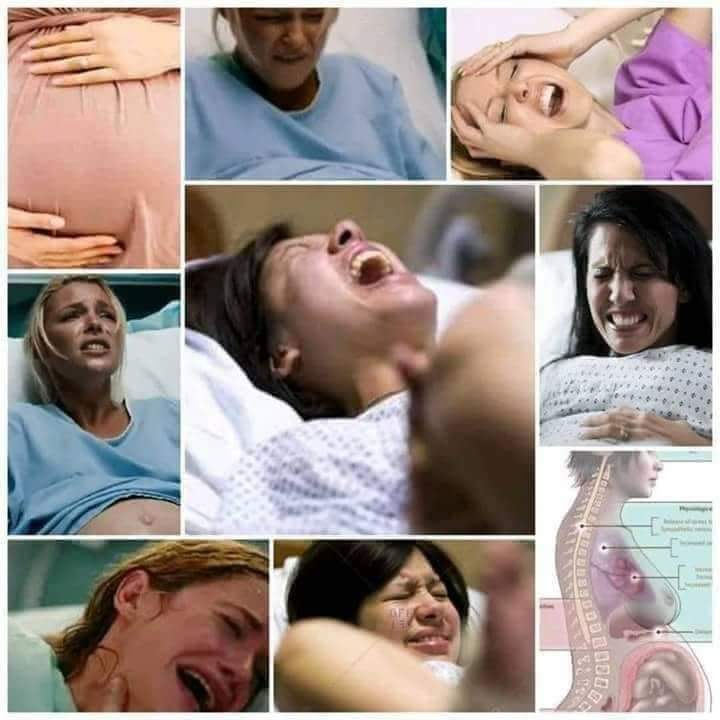 FB_IMG_1652931694627