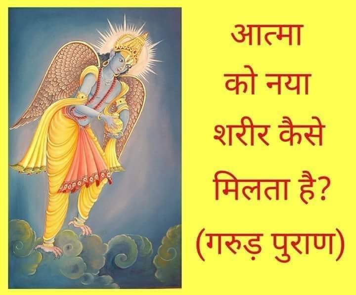 FB_IMG_1653292855693