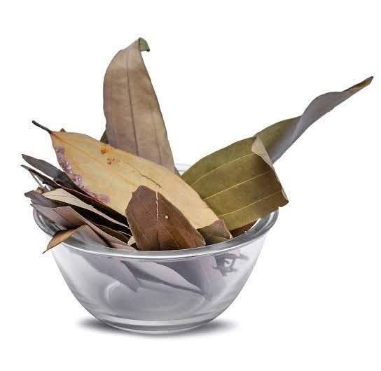 FB_IMG_1737191395007