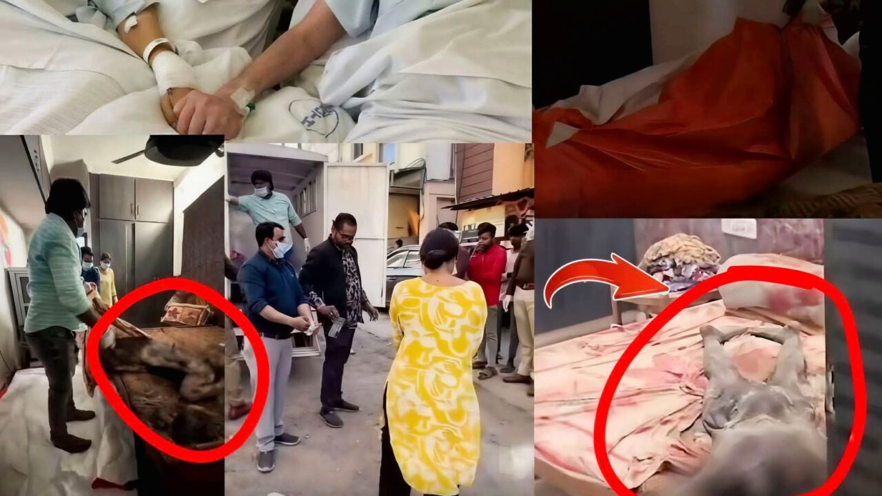 FB_IMG_1770727393734