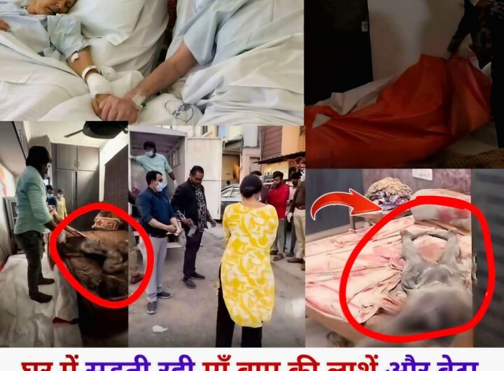 FB_IMG_1770727393734