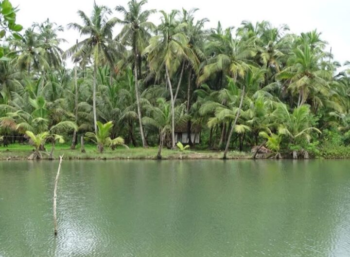 FB_IMG_1772264579629