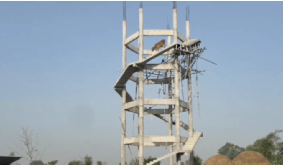 IMG-20260516-WA0327